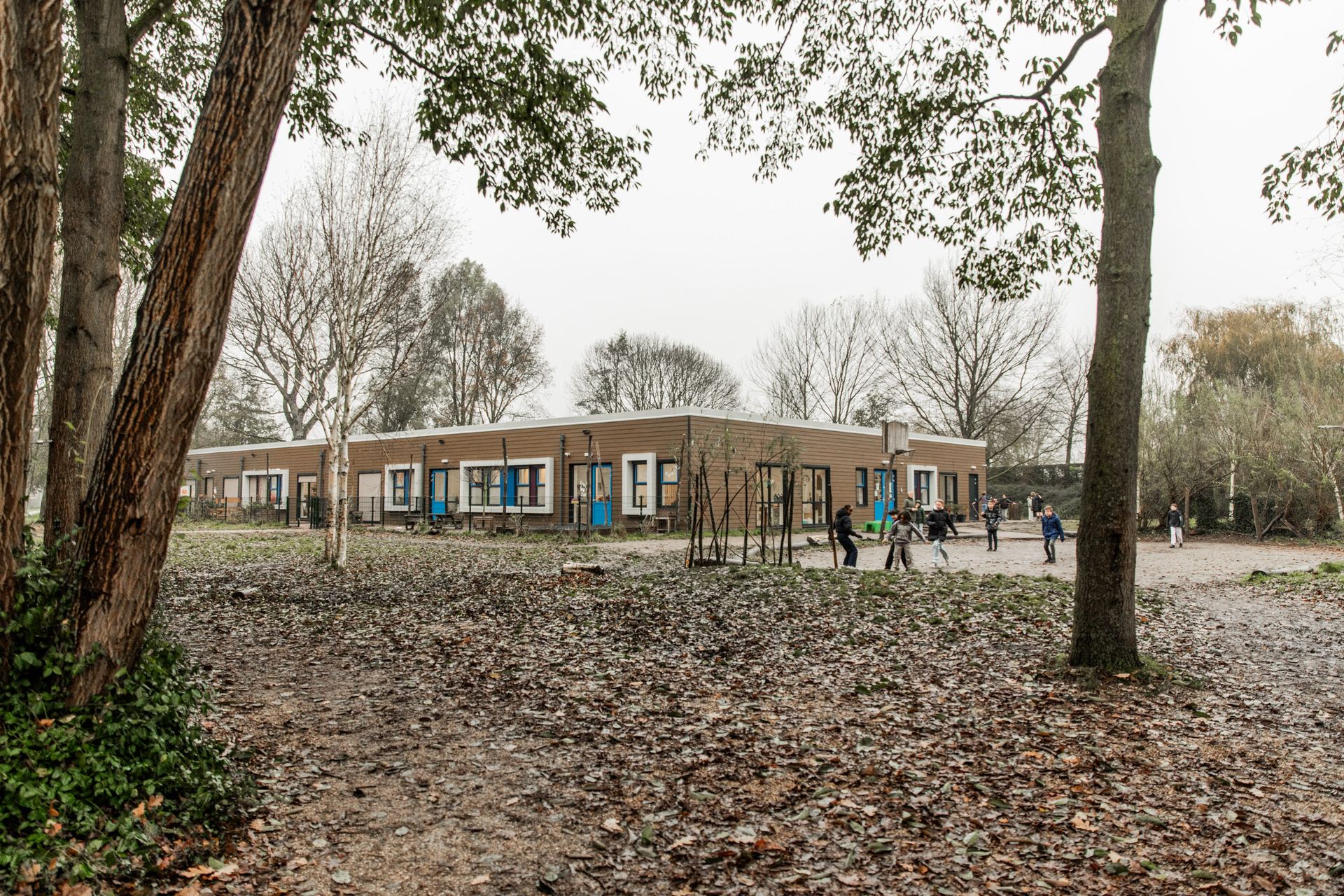 Het schoolgebouw van De Zwanebloem achter het speelveld met hoge bomen